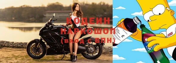 винт Бородино